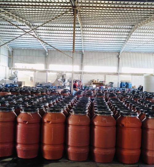 WhatsApp Image 2024-05-21 at 1.05.49 PM